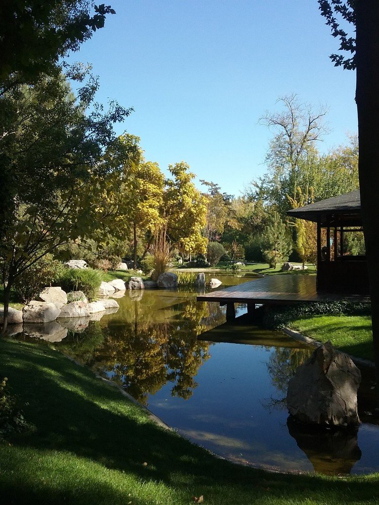 Photograph by Юлия Баринова