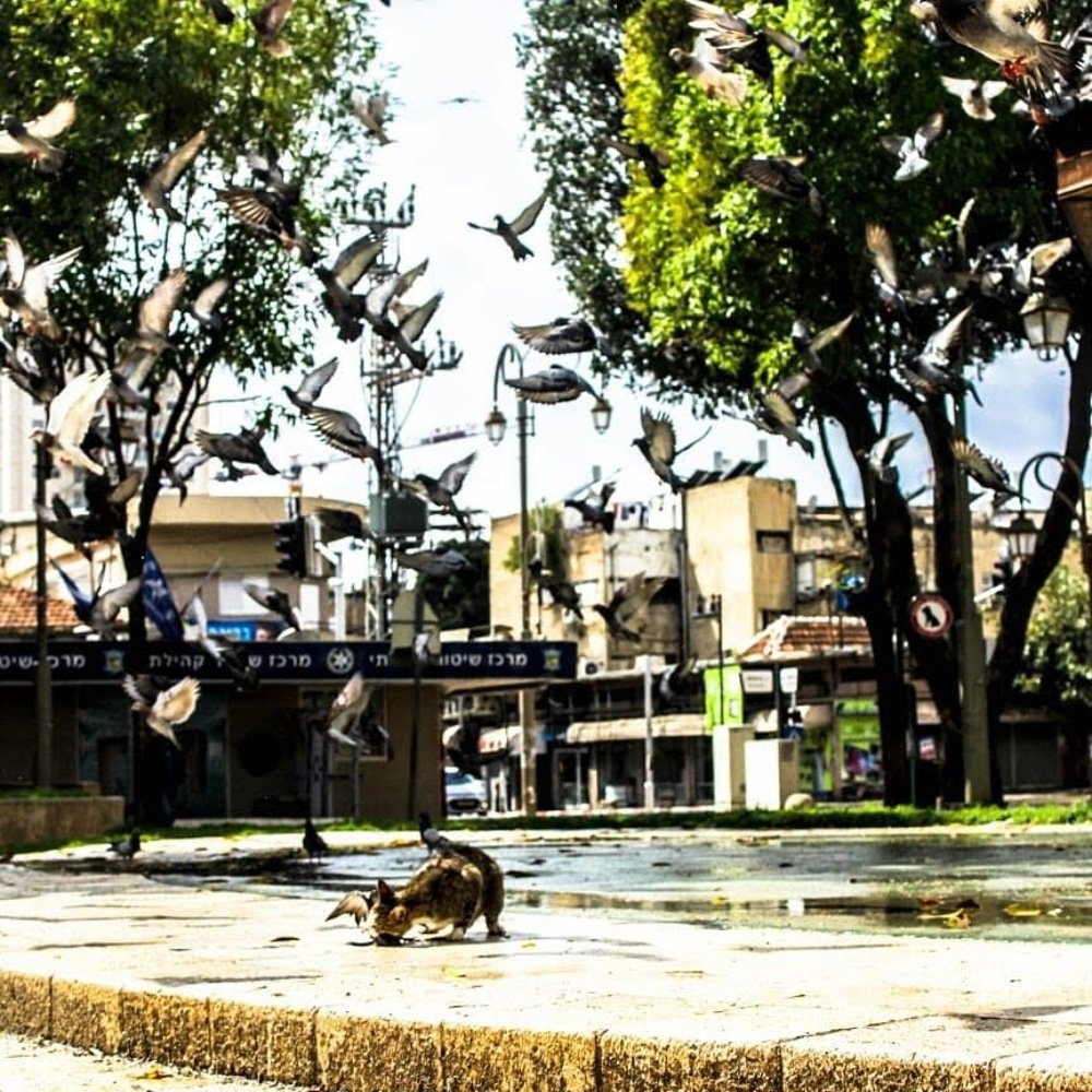 Photograph by Maksim Shamraevsky