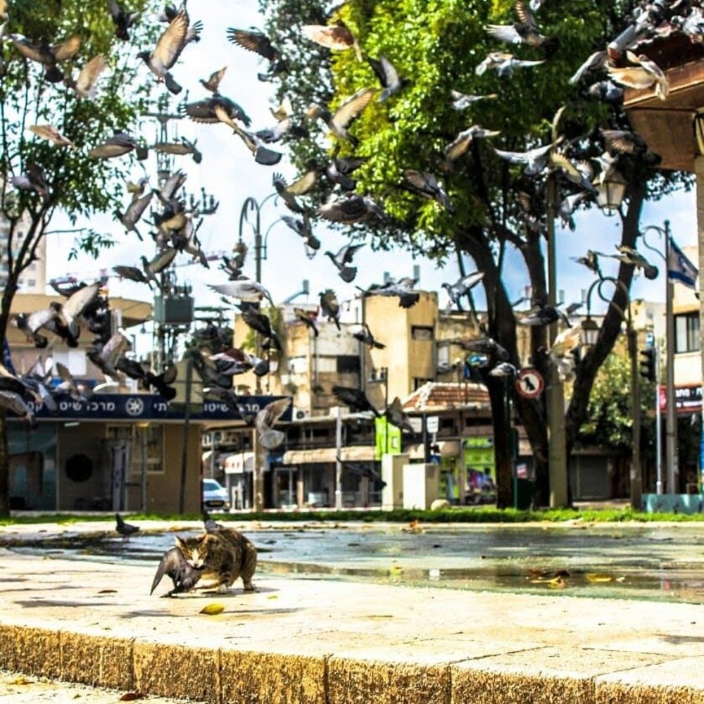 Photograph by Maksim Shamraevsky