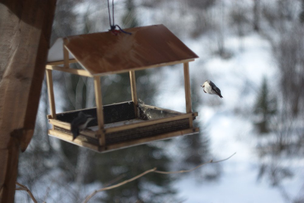 Photograph by Андрей Лебедев