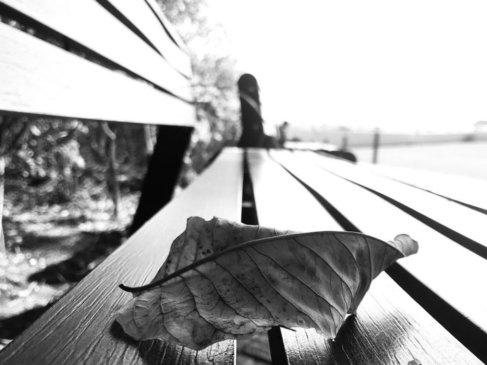 Photograph by Nyonika Rawal