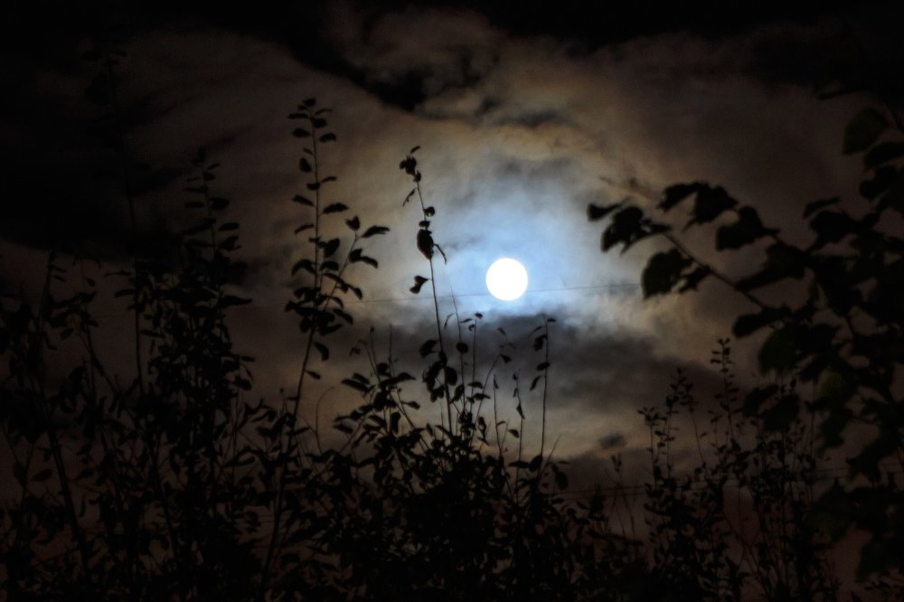 Photograph by Катя