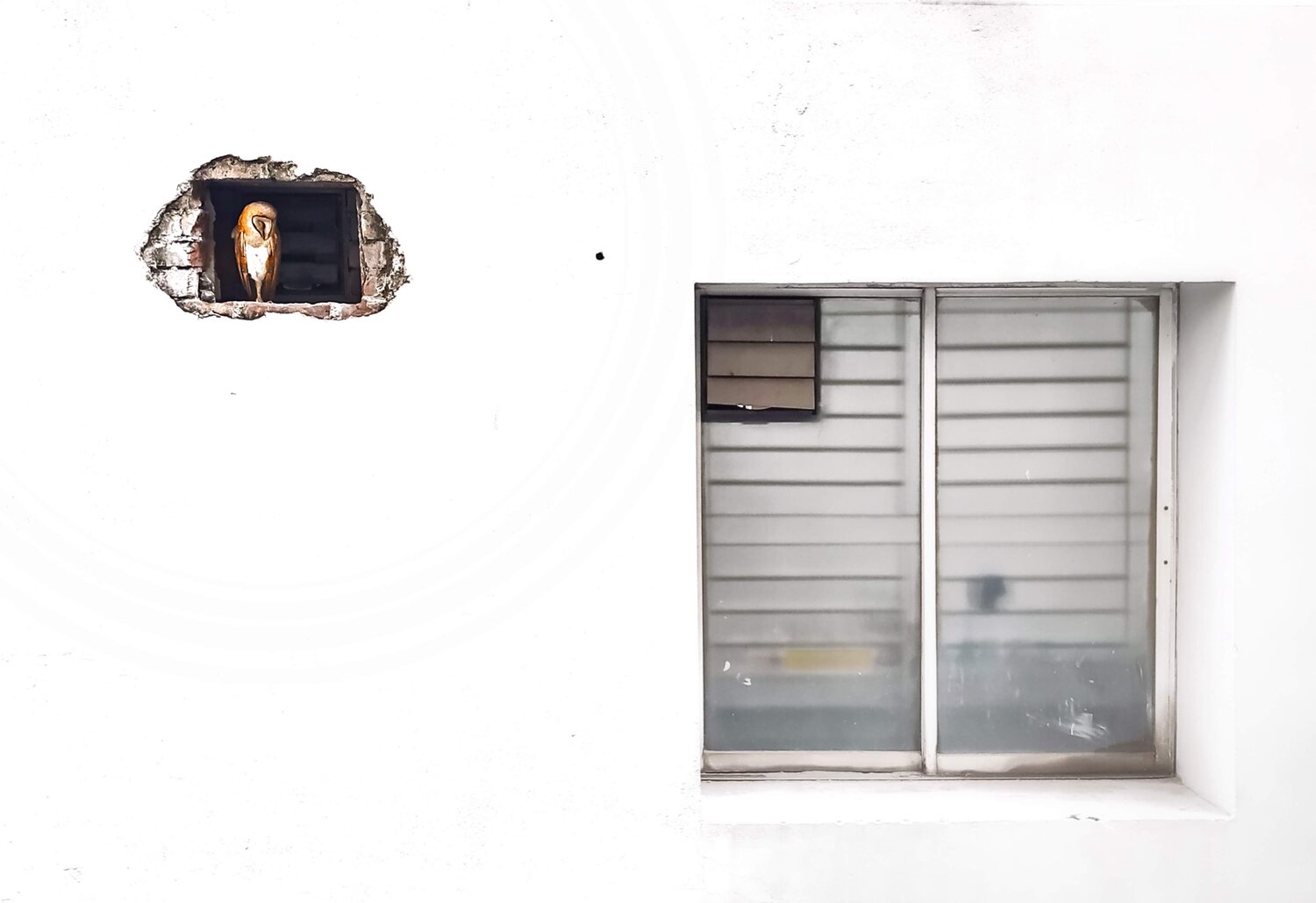 Shelter