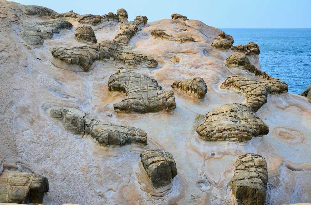 Photograph by Yng-Jaw Jiing