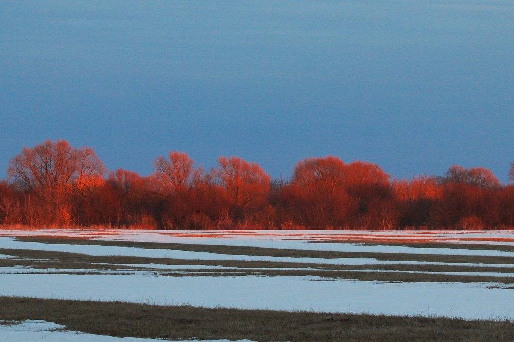 Photograph by Дмитрий Чудинин