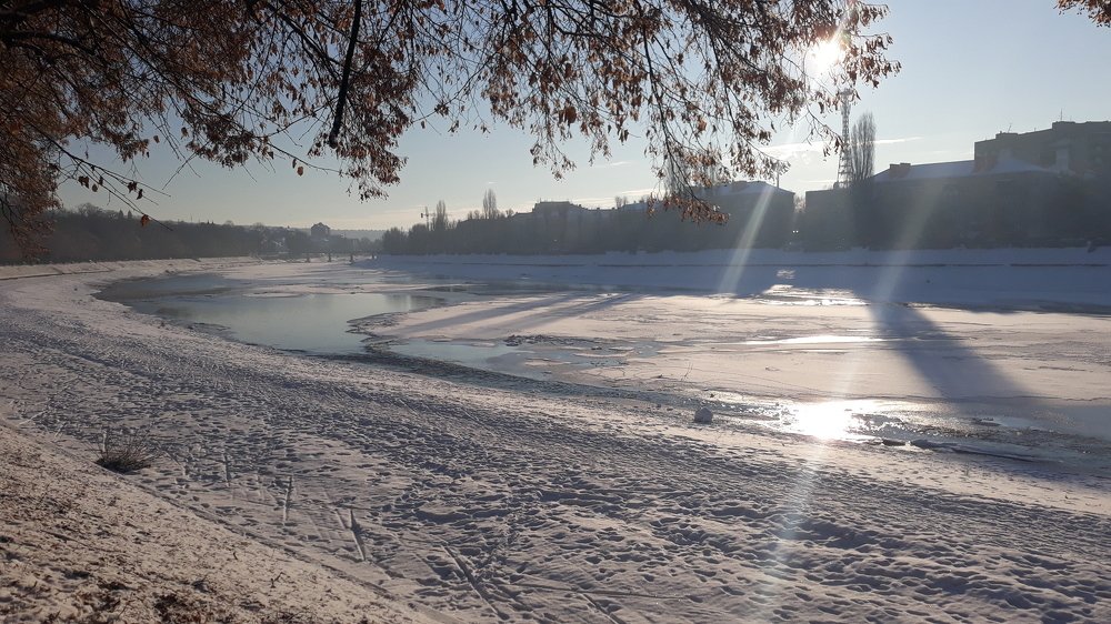 Photo #3888655