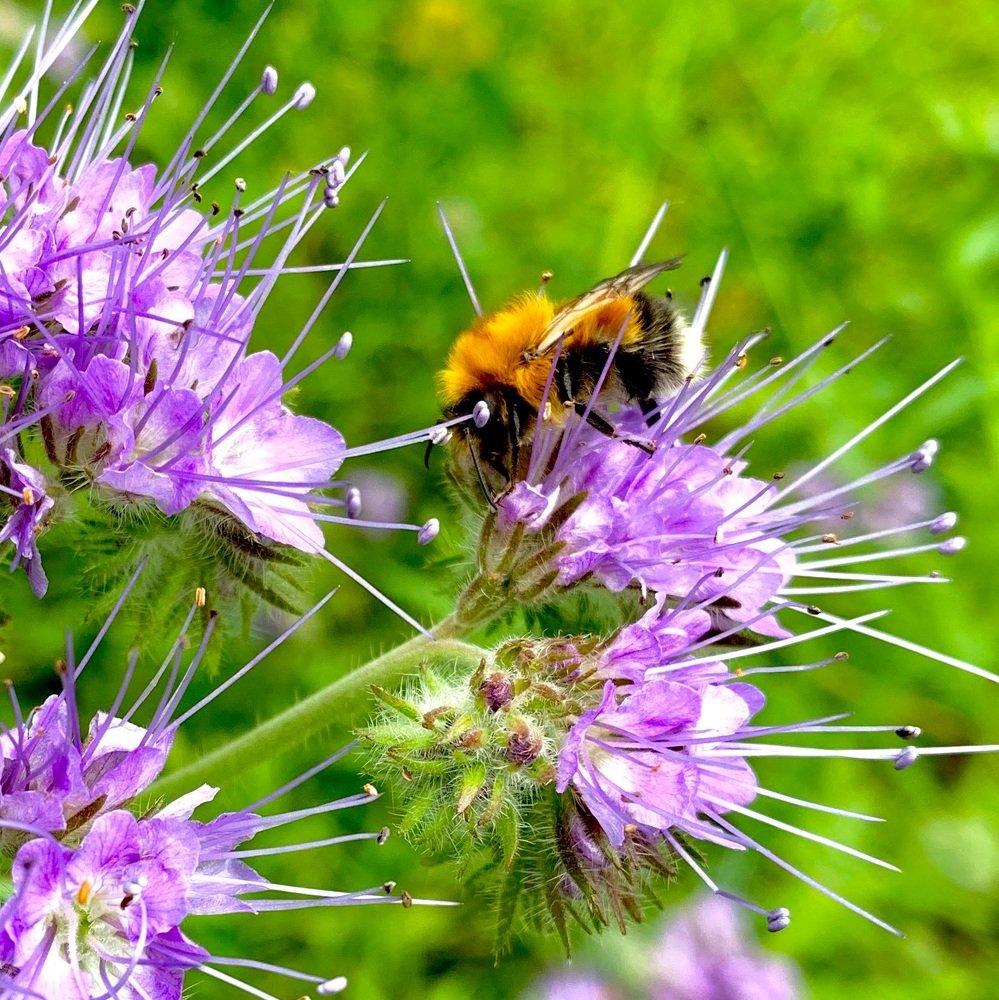 Photograph by Светлана Хохлова