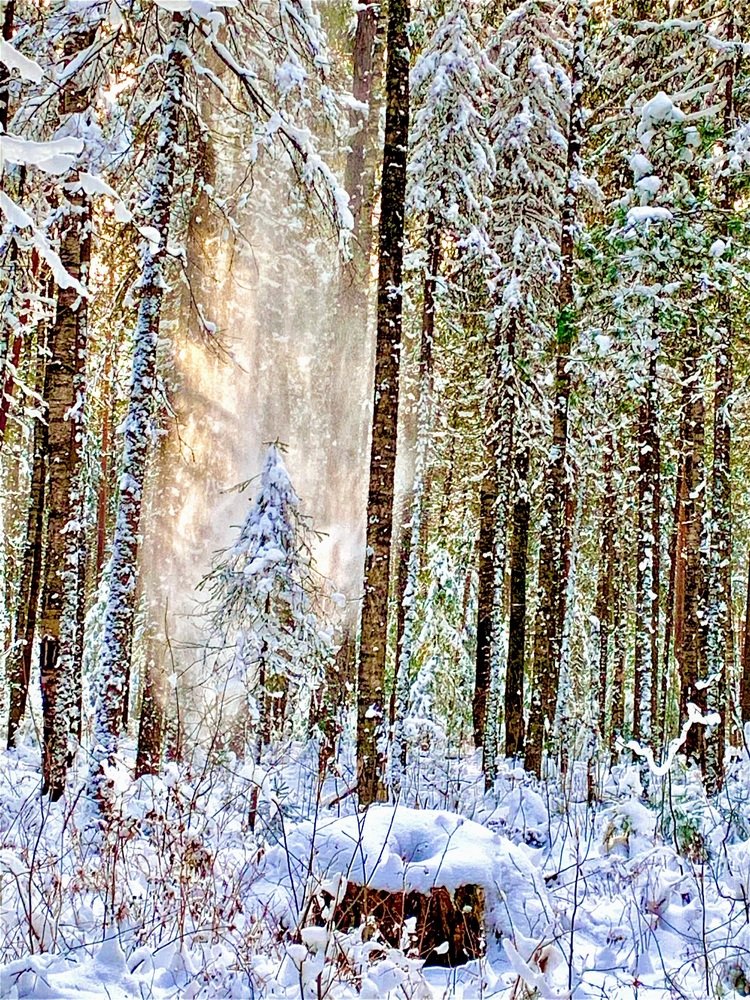 Photograph by Светлана Хохлова