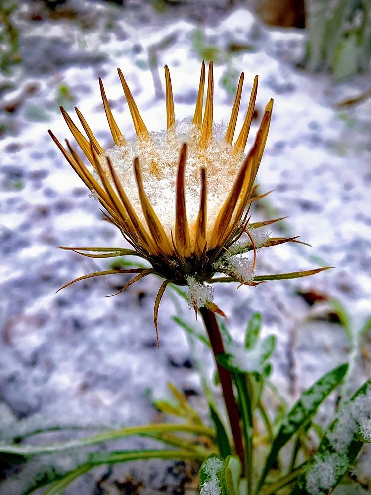 Photograph by Светлана Хохлова