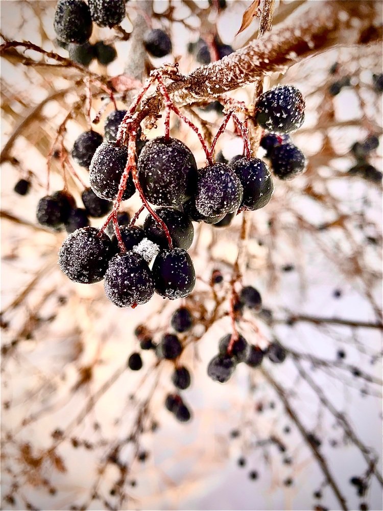 Photograph by Светлана Хохлова