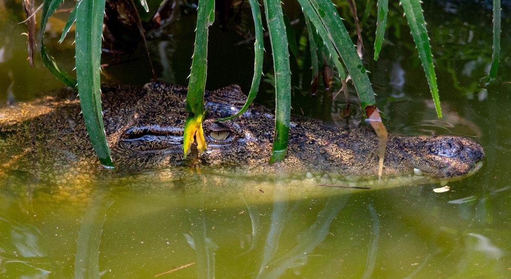 Photograph by Мари Полищук