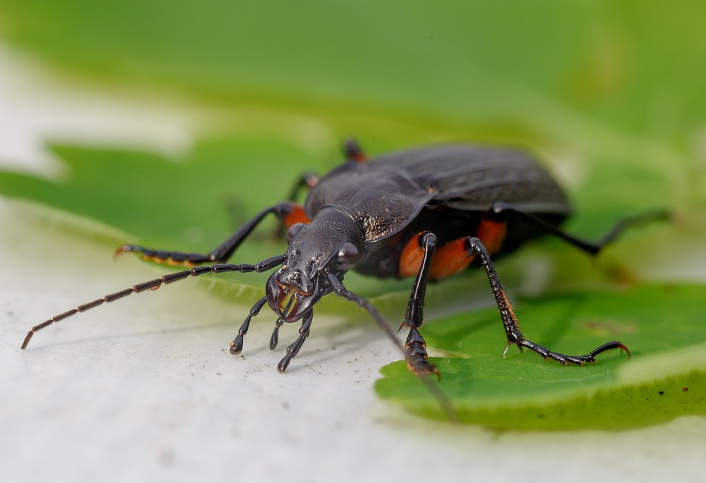 Photograph by Борис Платицин