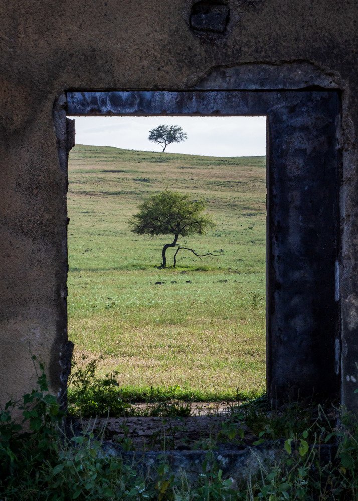 Photograph by AMARDEEP SINGH