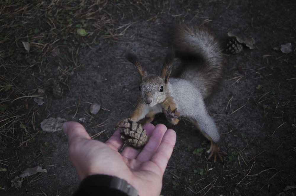 Photograph by Василий Рогачёв