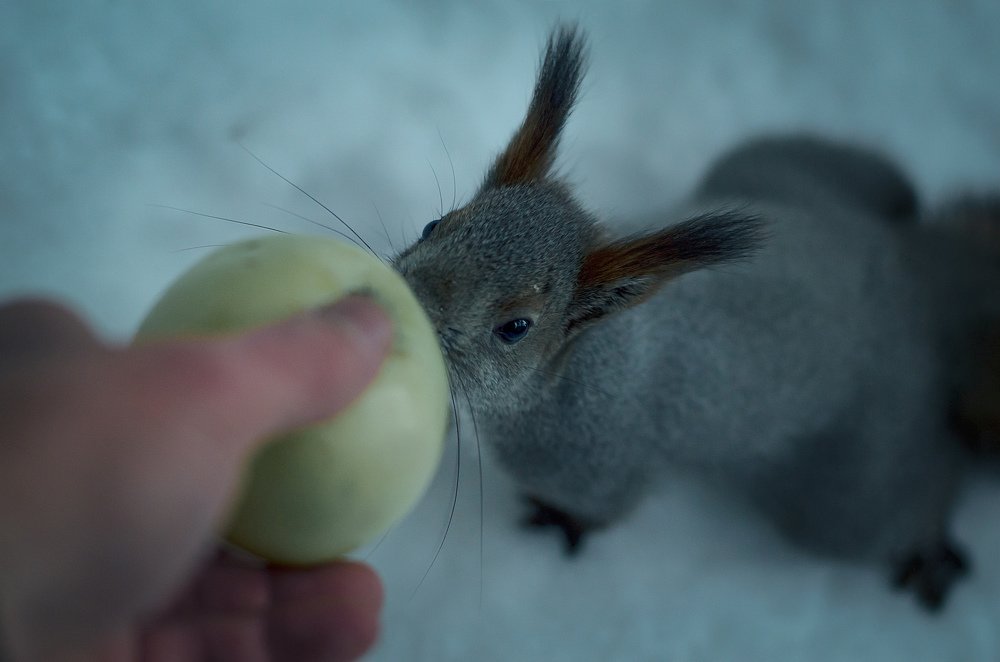 Photograph by Василий Рогачёв