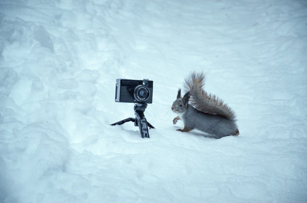 Photograph by Василий Рогачёв