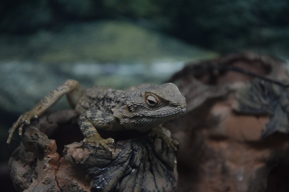 Photograph by Марина Белькова