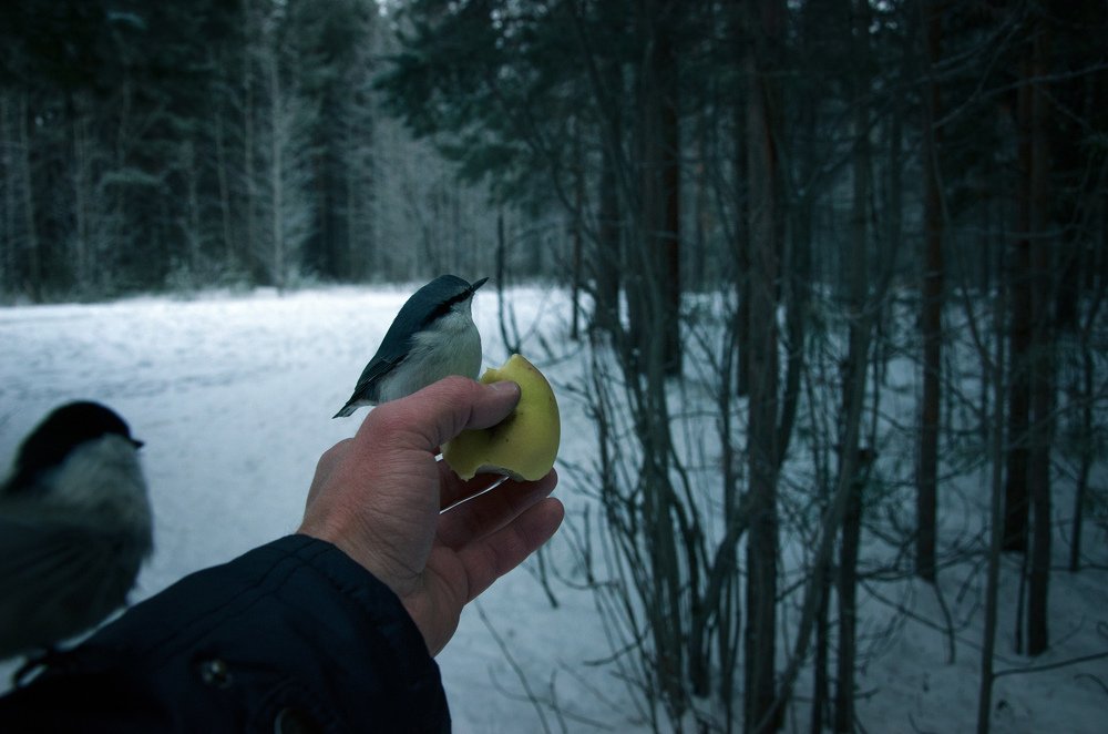 Photograph by Василий Рогачёв