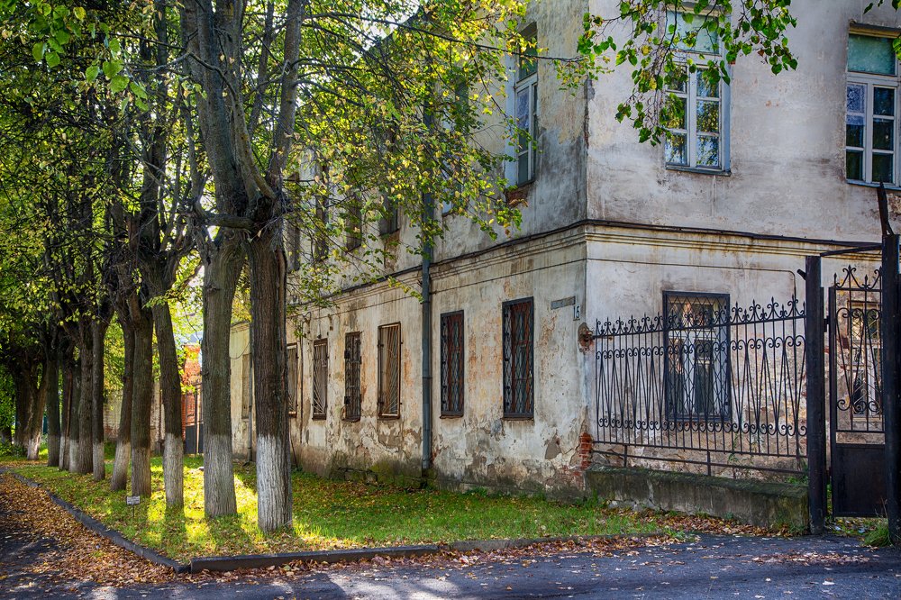 Photograph by Елена Владимировна