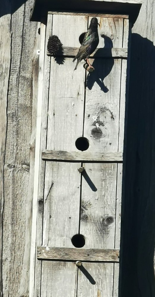 Photograph by Рутковская Жанна