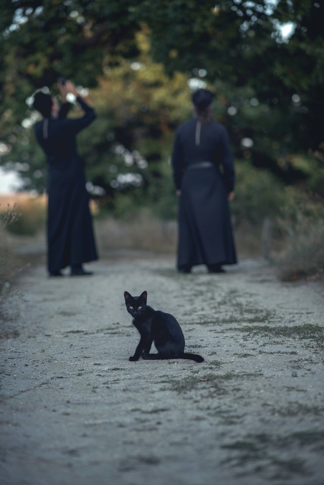 Photograph by Ольга Папина