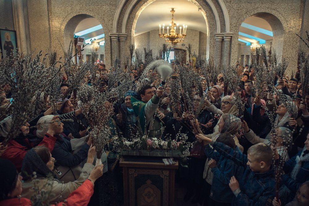 Photograph by Ольга Папина