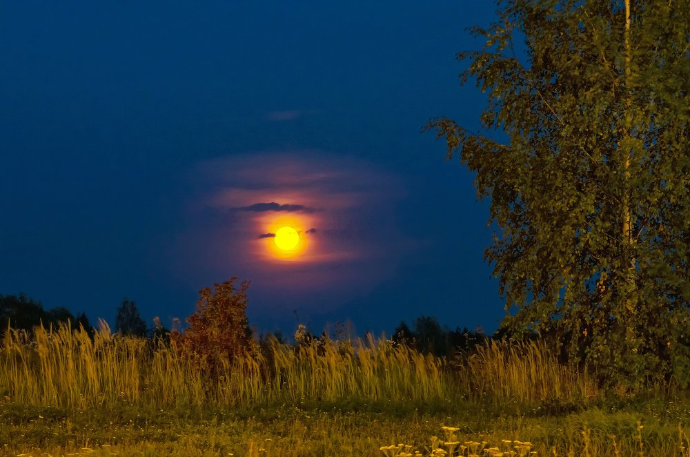 Photograph by Владимир Максимов