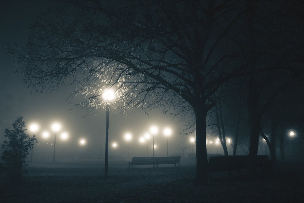 Photograph by Сергей Фадин