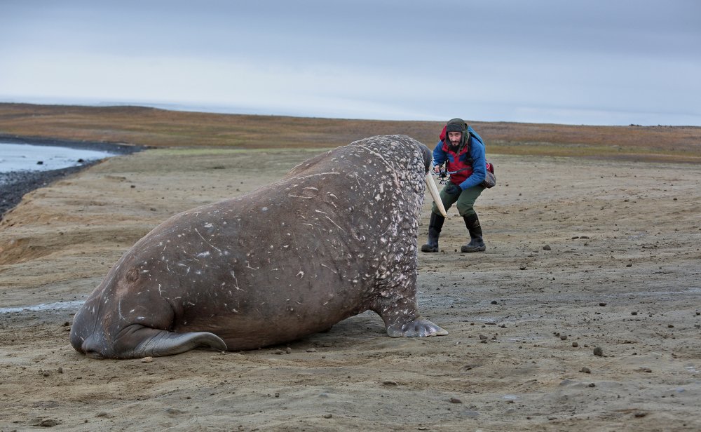 Photograph by Vladimir Melnik