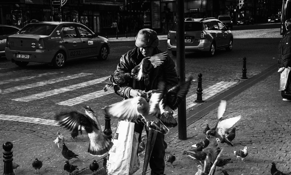 Photograph by Dumitru Bors