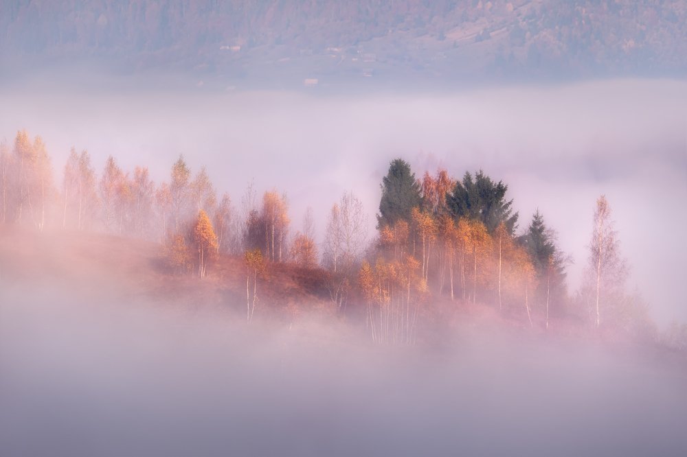 Фотография автора Ольга Рудченко