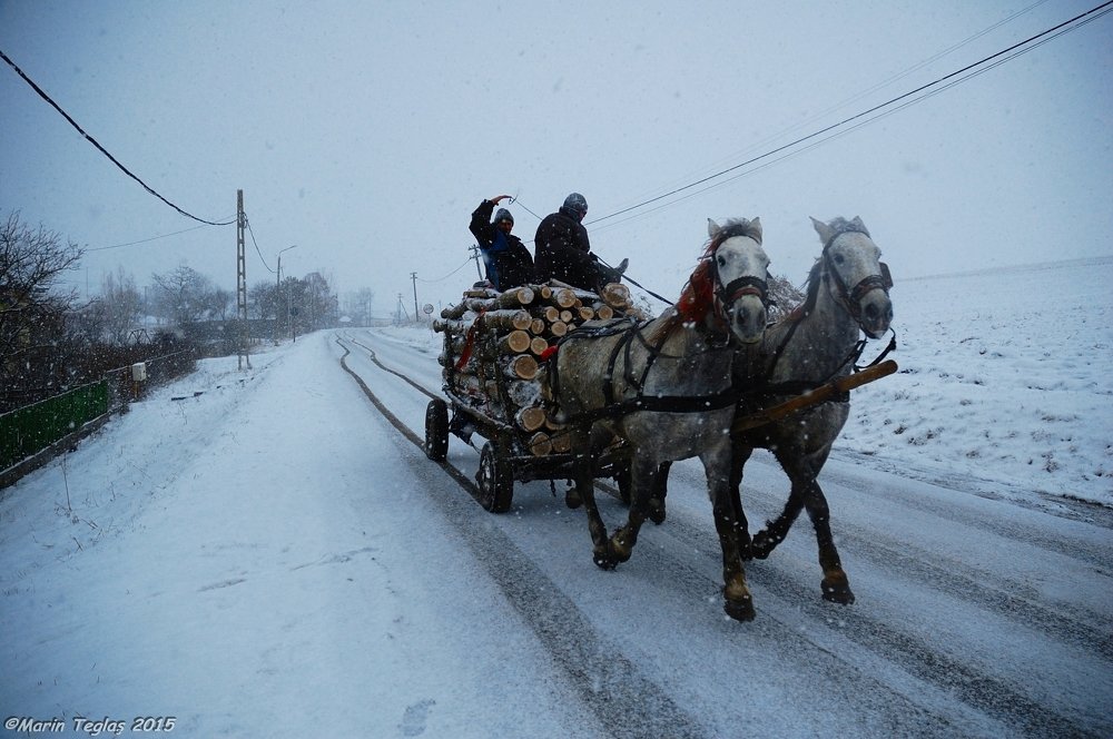 Фотография автора Teglaş Marin