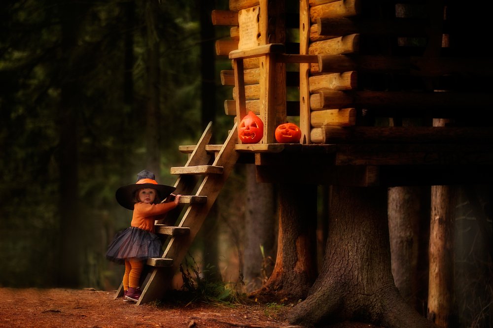 Фотография автора Елена Петрова