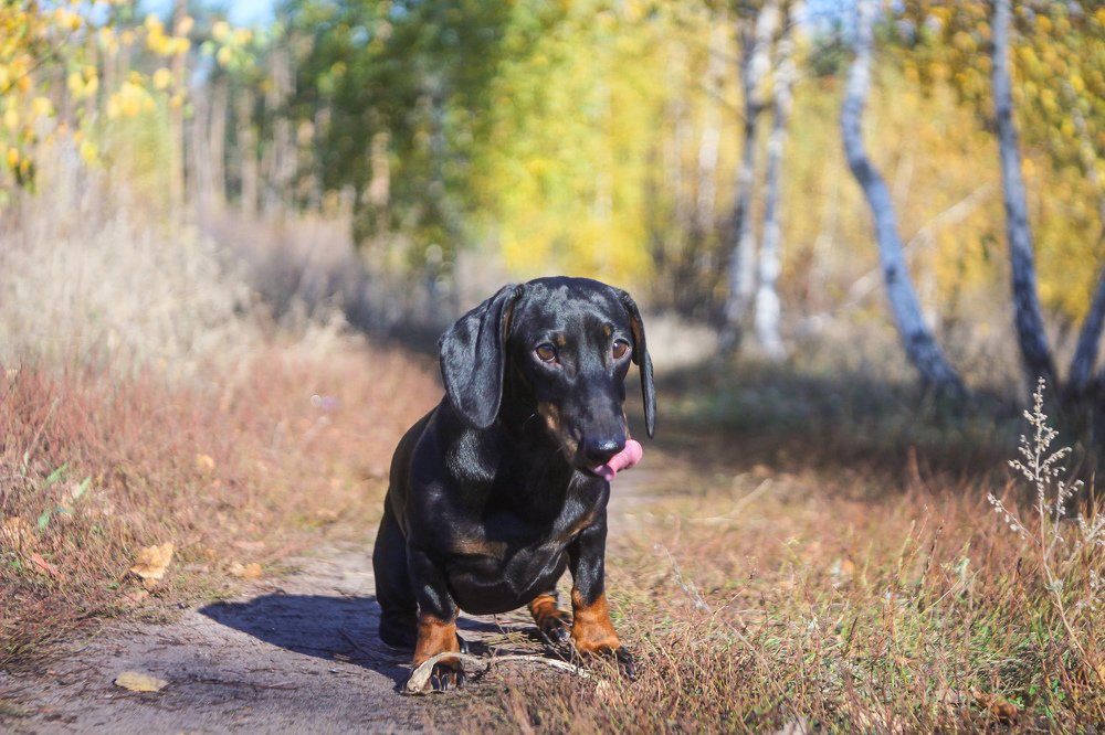 Photograph by Дмитрий Тимин