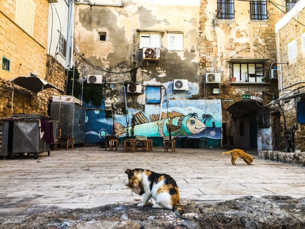 Photograph by Валентин