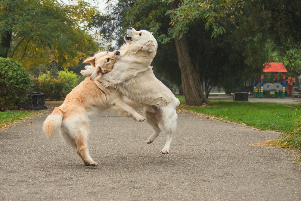Photograph by Анастасия Мельник