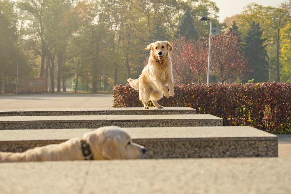 Photograph by Анастасия Мельник