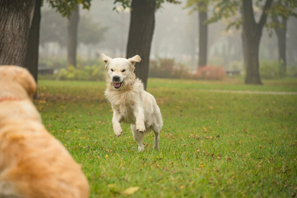 Photograph by Анастасия Мельник