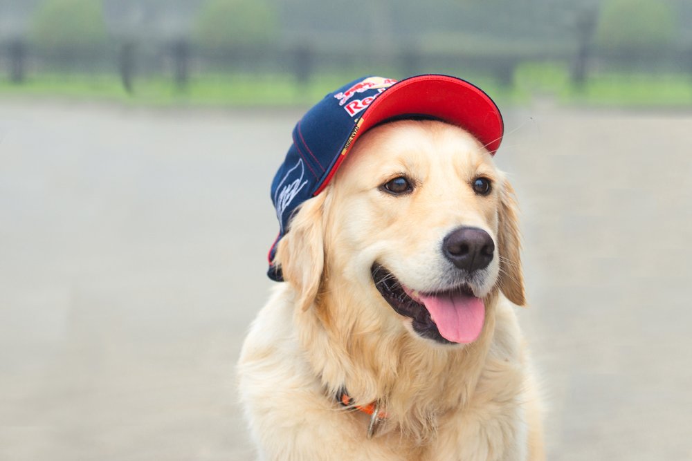 Photograph by Анастасия Мельник