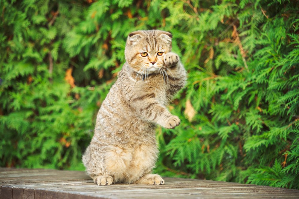 Photograph by Анастасия Мельник