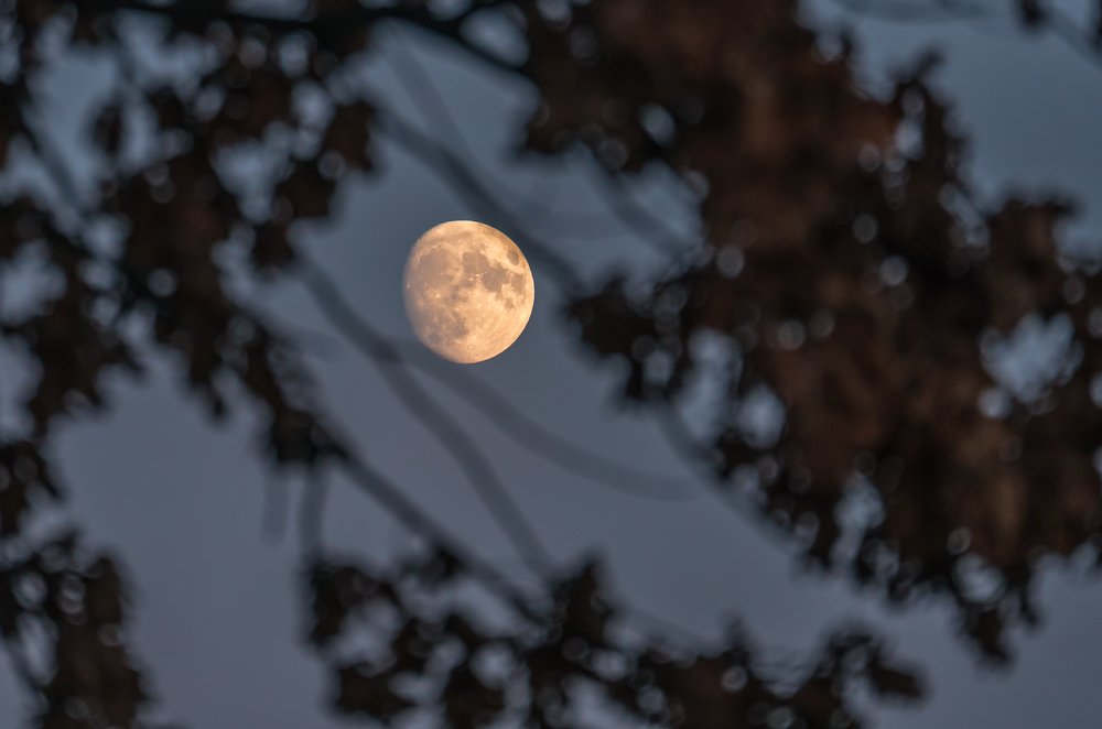 Фотография автора Cornelia Ghergut