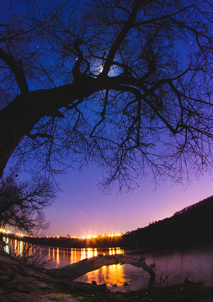 Photograph by Волков Анатолий