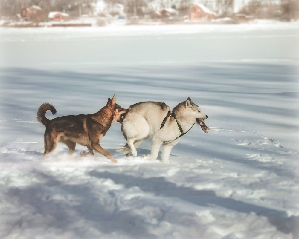 Photograph by Ирина Кленкова