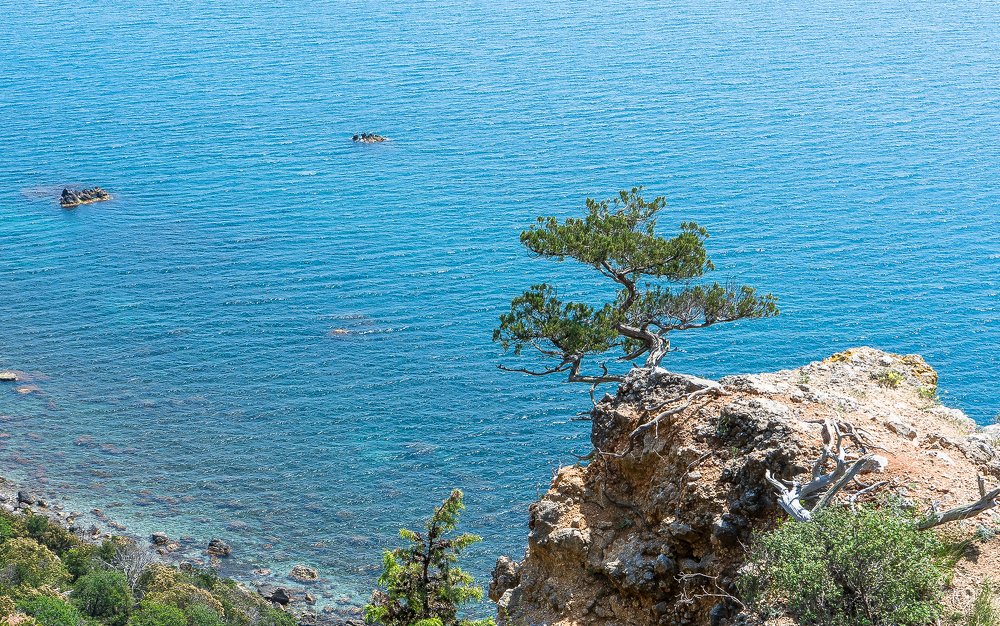 Все-таки живет     Still alive