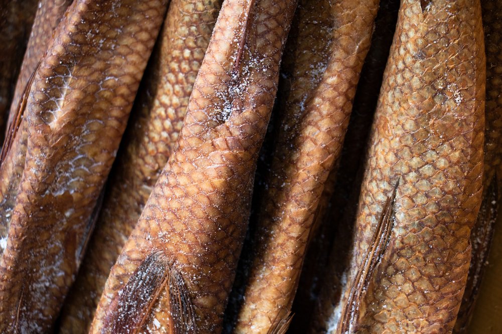 Photograph by Alireza khazaei