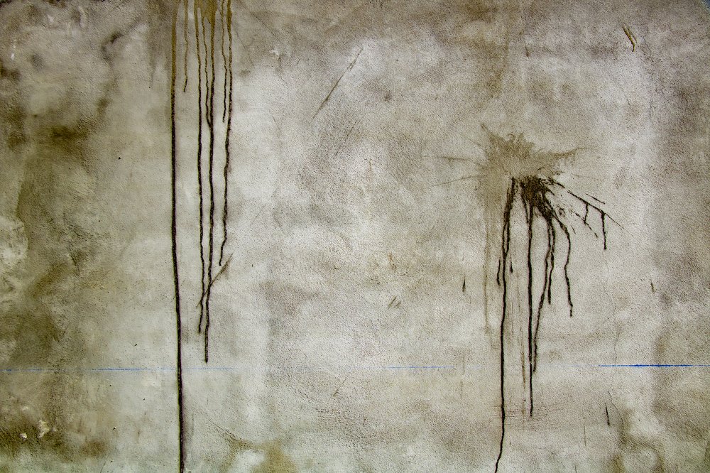 Photograph by Alireza khazaei