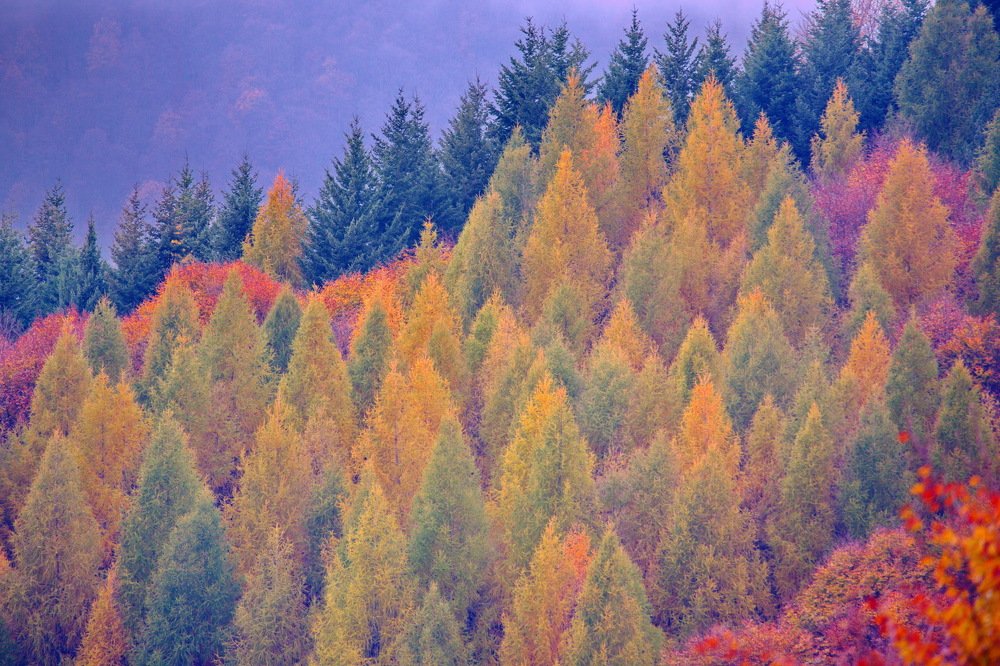 Photograph by Александр Столяров