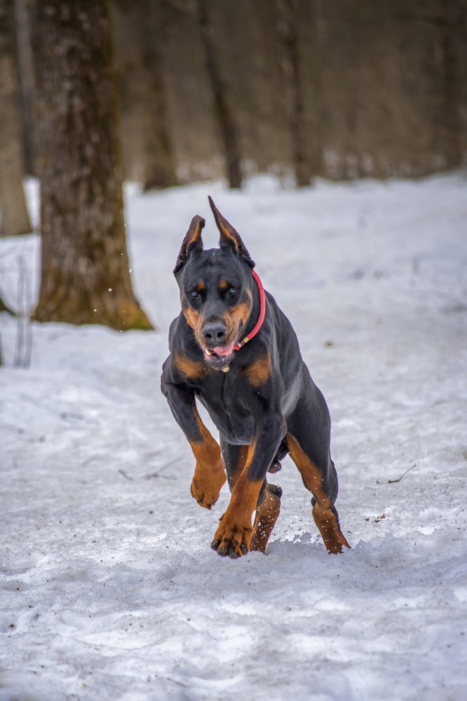 Photograph by Анастасия Третьякова