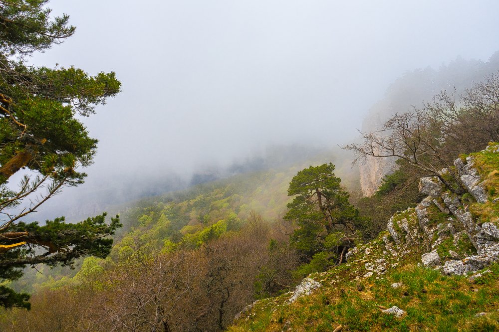 Туман в ущелье Уч-Кош. Fog in the Uch-Kosh canyon