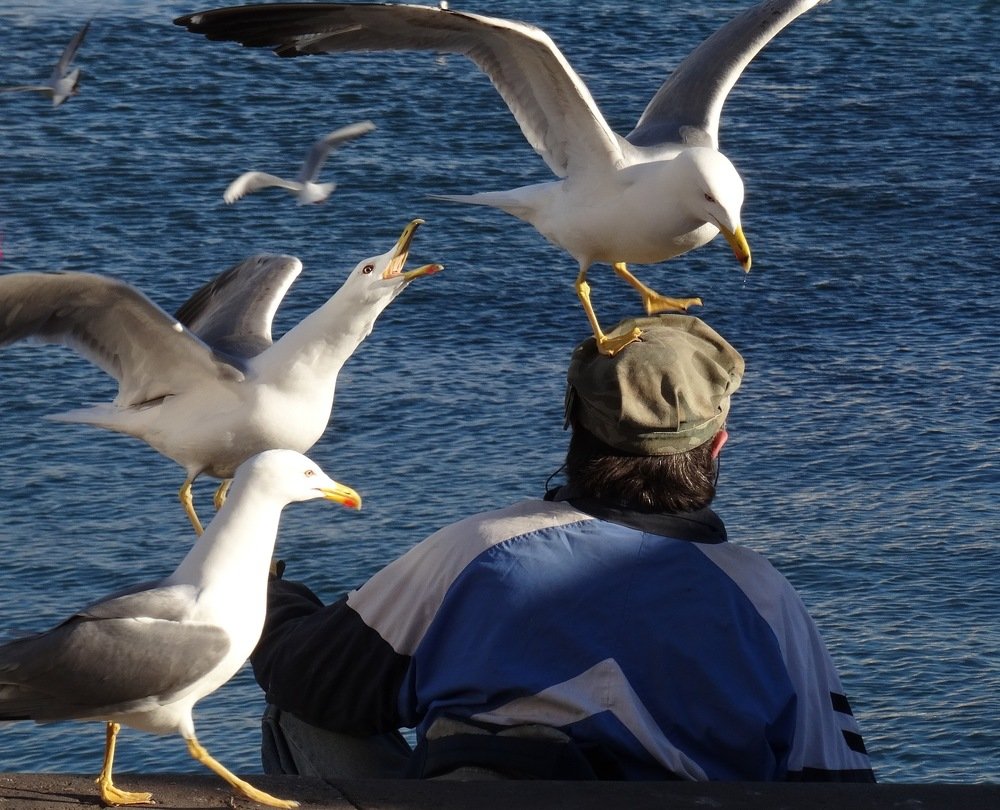 Photograph by Марина Раткун